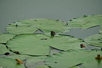 《开球》首发当天全平台玩家超100万 Steam峰值9万人